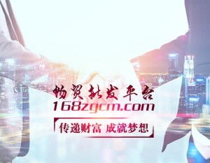 電子商務技術(shù) 現(xiàn)代商業(yè)的數(shù)字化引擎