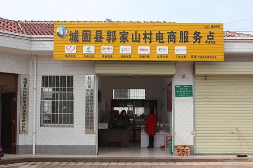 電子商務技術(shù)助力城固扶貧 2120戶貧困戶搭上電商新列車